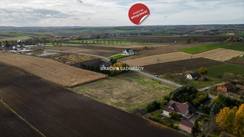 działka na sprzedaż 6500m2 działka Prandocin-Iły