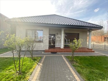 Na sprzedaż przestronny dom 210 m² z dwoma niezależnymi wejściami dom Ostrów Wielkopolski, Okólna