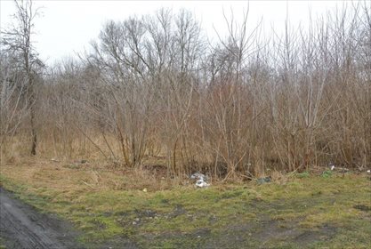 działka na sprzedaż 642m2 działka Kielce, Czarnów, Zamość