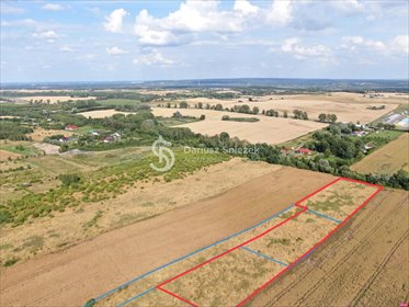 działka na sprzedaż 10467m2 działka Smolęcin