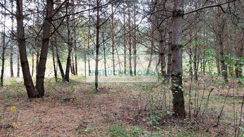 Duża działka rolno-leśna z jeziorem i strumykiem działka Zimna Woda