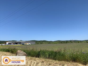 działka na sprzedaż 9970m2 działka Rumia, Kazimierska