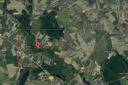 Działka budowlana na sprzedaż Trzcielin, Dopiewo 24 400m2 Foto 3