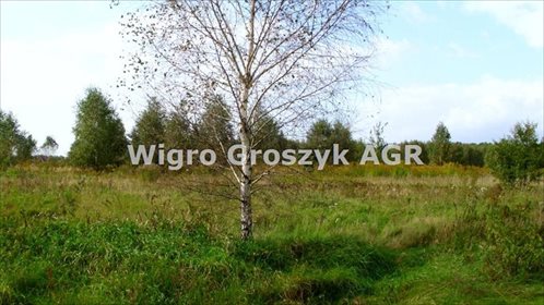 działka na sprzedaż 3000m2 działka Kaputy, Kręczki