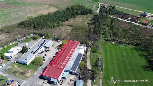 lokal użytkowy na wynajem 1669m2 lokal użytkowy Oborniki Śląskie