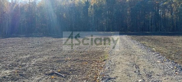 Sprzedam działkę 2362 m² w Wiązownie Kościelnej z lasem i mediami działka Wiązowna Kościelna