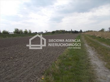 Działka rolna na sprzedaż Gdańsk, Olszynka 8 598m2 Foto 4
