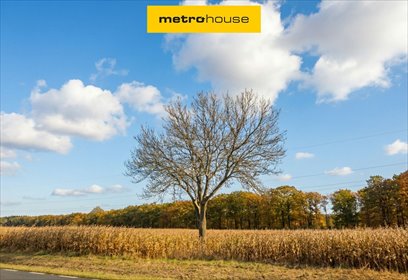 działka na sprzedaż 55000m2 działka Sanie