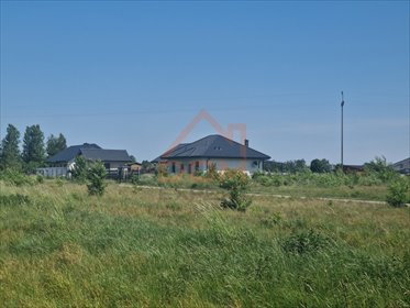 działka na sprzedaż 3155m2 działka Małe Rudy, Południowa