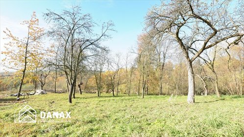 Działka budowlana na sprzedaż Buków 2 086m2 Foto 1
