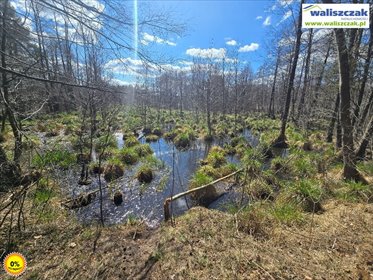 Działka rolna na sprzedaż Stobnica-Piła 1 700m2 Foto 2
