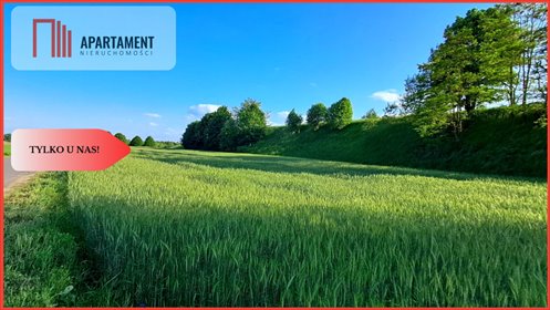 działka na sprzedaż 1130m2 działka Liniewo