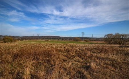Działka inwestycyjna na sprzedaż Czymanowo 31 887m2 Foto 7