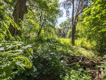 Do sprzedania działka 1045 m² z projektem i starodrzewem w Milanówku działka Milanówek