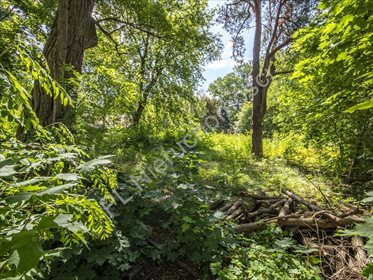 działka na sprzedaż 1045m2 działka Milanówek