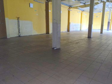 lokal użytkowy na wynajem 460m2 lokal użytkowy Widawa