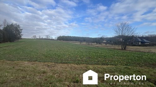 działka na sprzedaż 13500m2 działka Rogalów