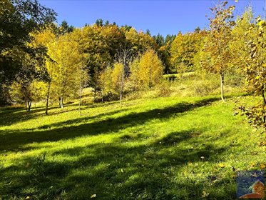 działka na sprzedaż 7049m2 działka Laskowa