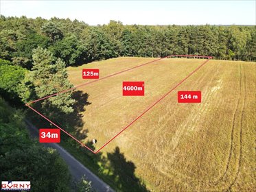 działka na sprzedaż 4600m2 działka Stobnica