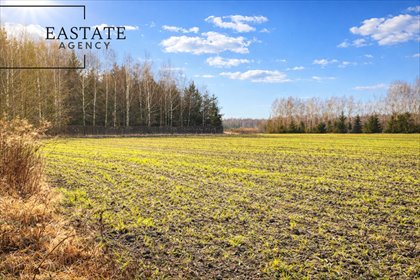 działka na sprzedaż 3004m2 działka Harsz