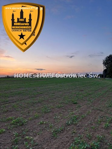 działka na sprzedaż 4009m2 działka Szewna
