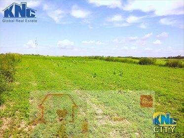 działka na sprzedaż 13500m2 działka Lublin, Trześniów