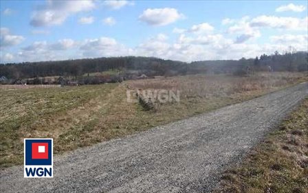Działka 6017 m² z przyłączami, las, spokój (Wielka Lipa) działka Wielka Lipa, Wielka Lipa, Wielka lipa