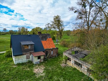 Działka 4824 m² z domem w Skoszewie - blisko natury. działka Skoszewo