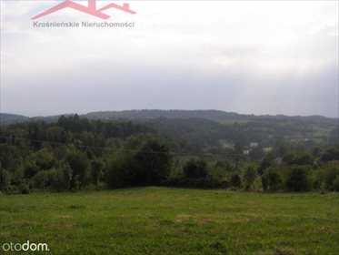 Działka budowlana na sprzedaż Malinówka 2 000m2 Foto 1
