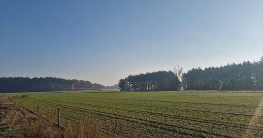 działka na sprzedaż 1062m2 działka Łopuchowo, ul. Boczniakowa