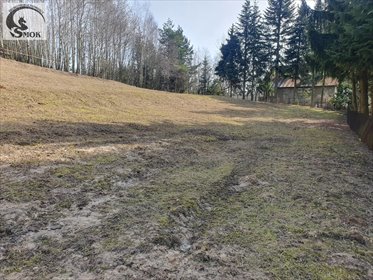 działka na sprzedaż 2300m2 działka Siercza