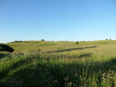 Działka rolna na sprzedaż Stare Kawkowo 3 523m2 Foto 1