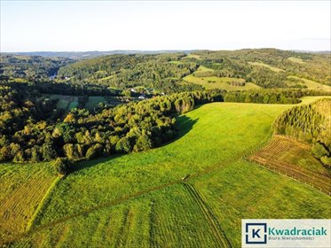 Atrakcyjne działki z panoramicznym widokiem 4,48 ha działka Lutcza