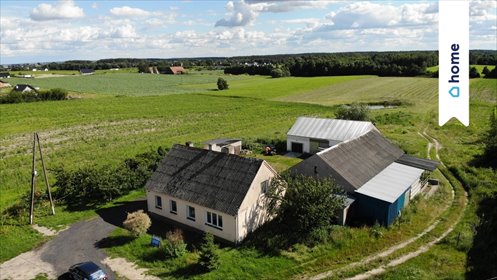 Duża działka z domem i zabudowaniami w Plewnie działka Plewno