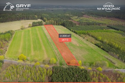 Działka rolna 11 300 m2 z dostępem do asfaltu. działka Barwino