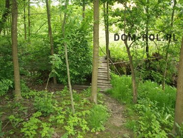 Dom na sprzedaż Wola Obszańska 370m2 Foto 6