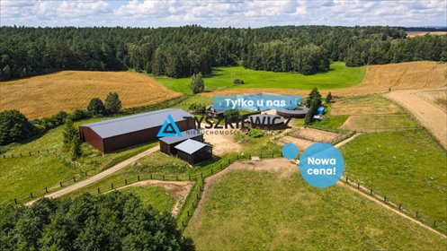 lokal użytkowy na sprzedaż 29719m2 lokal użytkowy Goszyn