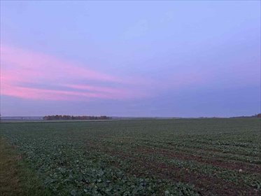 działka na sprzedaż 26200m2 działka Banie