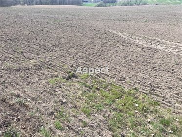 działka na sprzedaż 1450m2 działka Turza Śląska