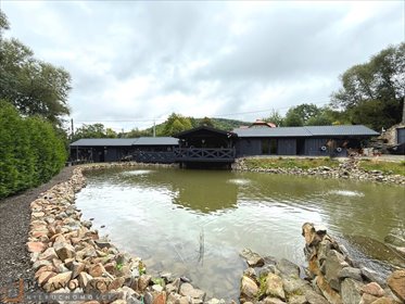 działka na sprzedaż 3887m2 działka Poręba