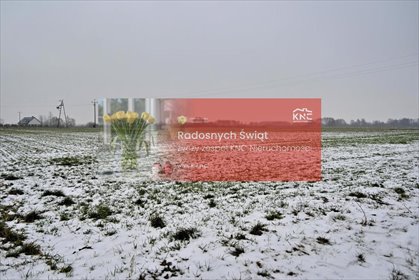 działka na sprzedaż 7500m2 działka Ludwin