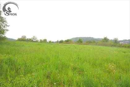 Działka rolna na sprzedaż Kraków, Podgórze, Kosocice 2 600m2 Foto 2