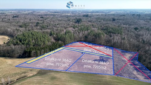 Polecam duże działki pod lasem w Jędrychówku 7 979 m² działka Jędrychówko