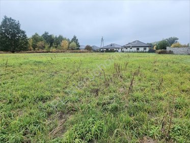 działka na sprzedaż 1000m2 działka Wolica