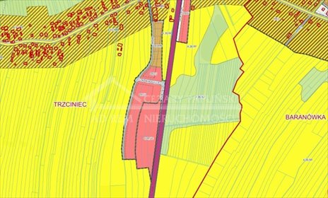 działka na sprzedaż 51142m2 działka Trzciniec, Trzciniec, Lubartów