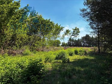 Sprzedam działki budowlane 908 m² w Małych Rudy działka Małe Rudy, Słoneczna