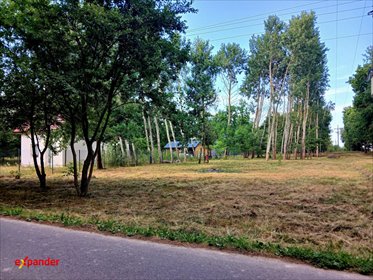 Sprzedam działkę 983 m² w Lipiny Kolonia - idealna pod inwestycję działka Lipiny Kolonia
