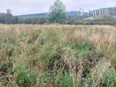 działka na sprzedaż 1000m2 działka Wysowa-Zdrój