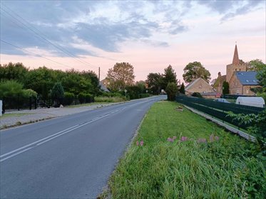 Działka 1800 m² z wodą i prądem w Kłodowie działka Kłodowo