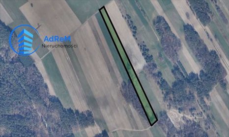 Działka rolna na sprzedaż Gończyce 16 800m2 Foto 5